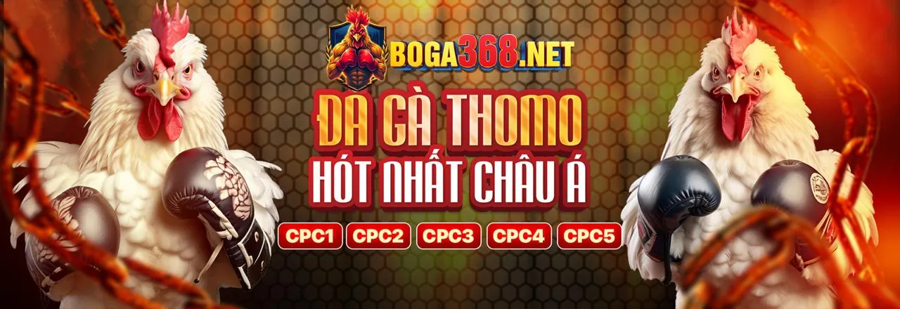 Tổng quan về 69vin win